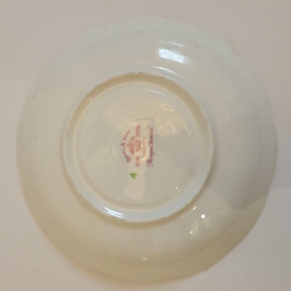 Vintage Royal Albert Bone China Cup & Saucer Set - Picture 2 of 12